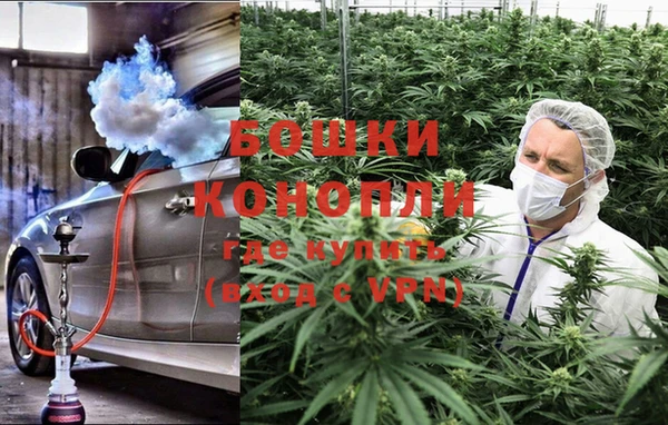 ГАЛЛЮЦИНОГЕННЫЕ ГРИБЫ Абинск