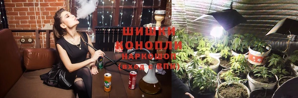 сатива Нефтекумск